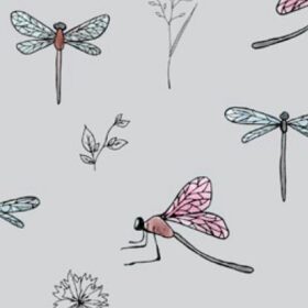 DRAGONFLIES