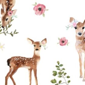 FAWNS