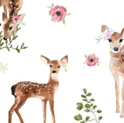 FAWNS