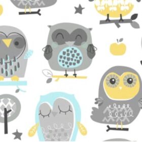 GREY OWLS