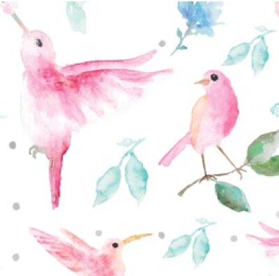 PARADISE BIRDS