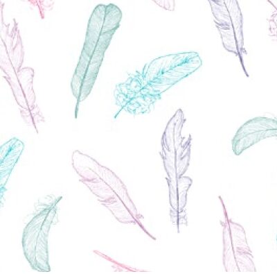 PARADISE FEATHERS