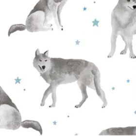 STAR WOLVES